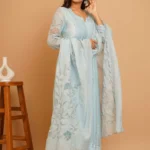 Gulabik Powder Blue Net Applique Suit Set