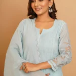 Gulabik Powder Blue Net Applique Suit Set