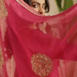 Gulabik Deep Magenta Sequence Suit Set